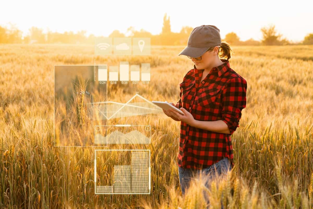 Indicadores de Desempenho na Pecuária de Corte: Quais Medir e Como Usar na Sua Fazenda